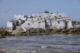 Image du Maroc Professionnelle de  Le Marabout Sidi Abderrahmane sur le rocher de l'îlot du même nom situé à quelques mètres de la corniche de Casablanca, un peu plus loin de la koubba qui abrite le marabout ; Les pèlerins affluent pour se purifier, jeter un sort ou faire un sacrifice , Lundi  6 Janvier 2004. (Photo / Abdeljalil Bounhar)